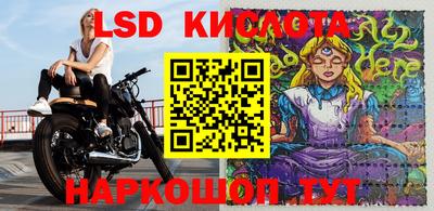 spice Краснознаменск