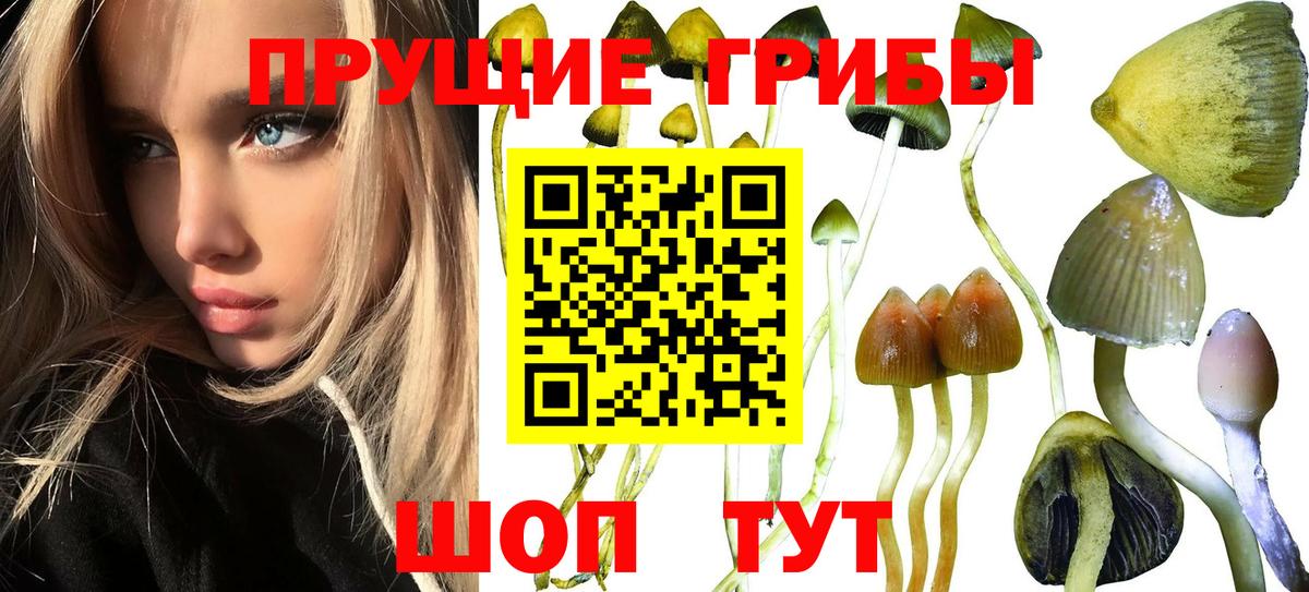 Туймазы  Галлюциногенные грибы мухоморы  Вход с VPN 